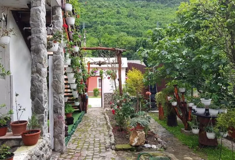 Pensiunea Casa Montana