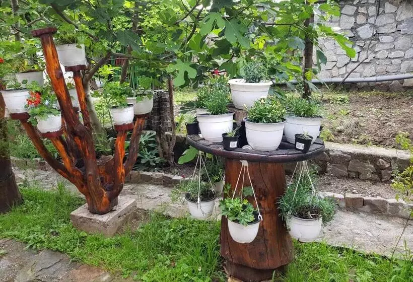 Pensiunea Casa Montana