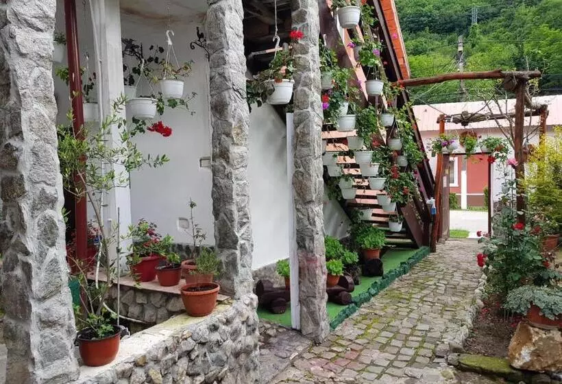 Pensiunea Casa Montana