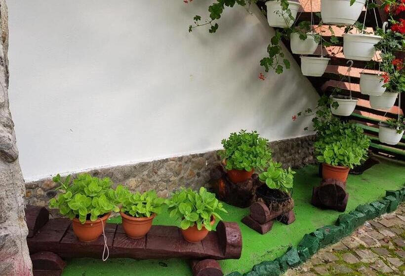 Pensiunea Casa Montana