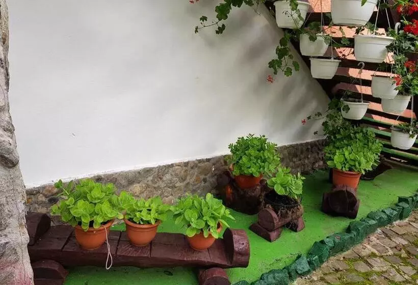 Pensiunea Casa Montana