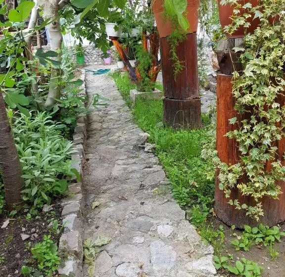 Pensiunea Casa Montana