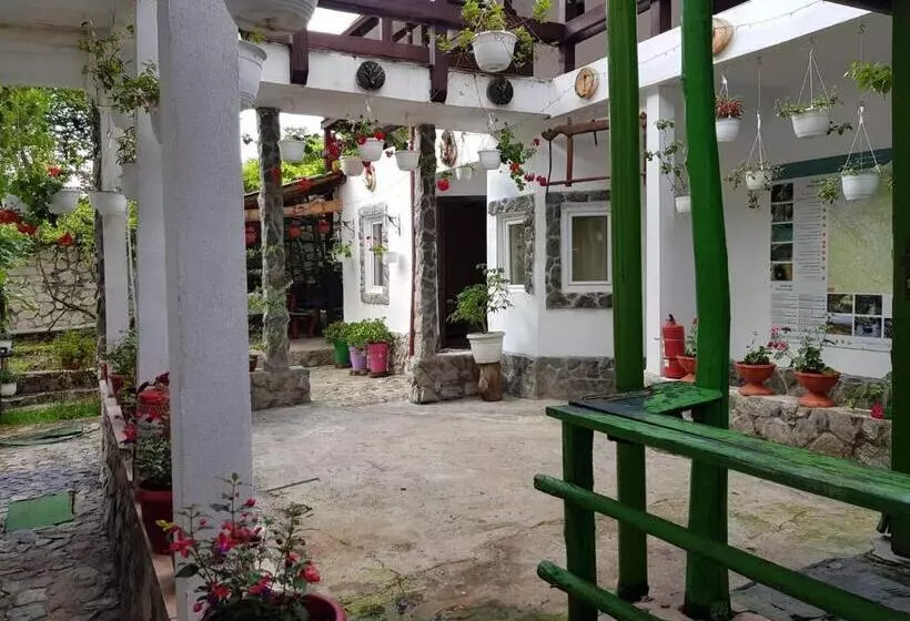 Pensiunea Casa Montana