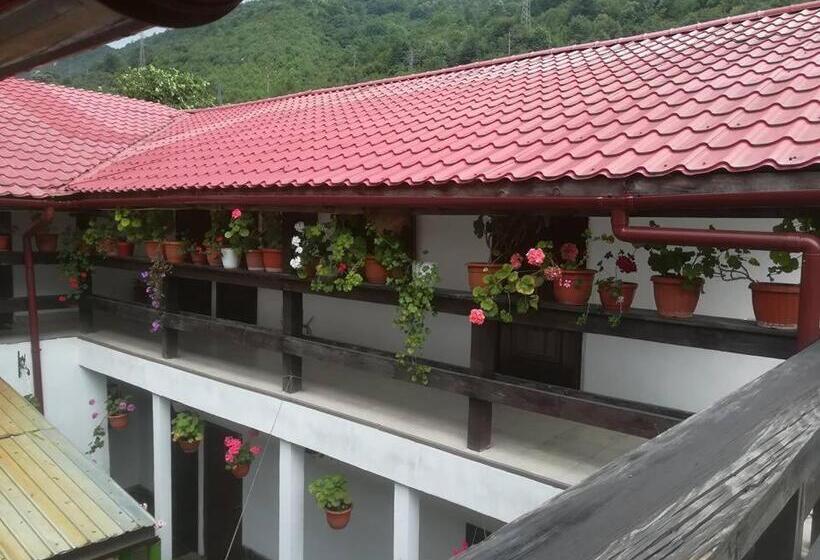 Pensiunea Casa Montana