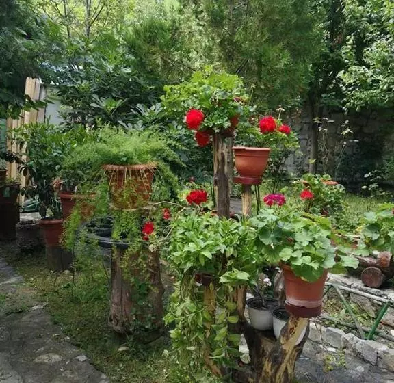 Pensiunea Casa Montana