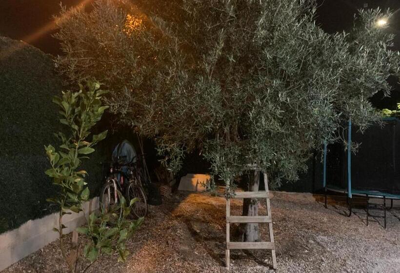 Bed and Breakfast L’olivier De Manel