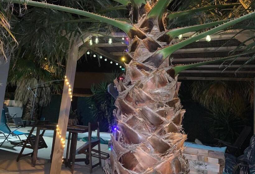 Bed and Breakfast L’olivier De Manel