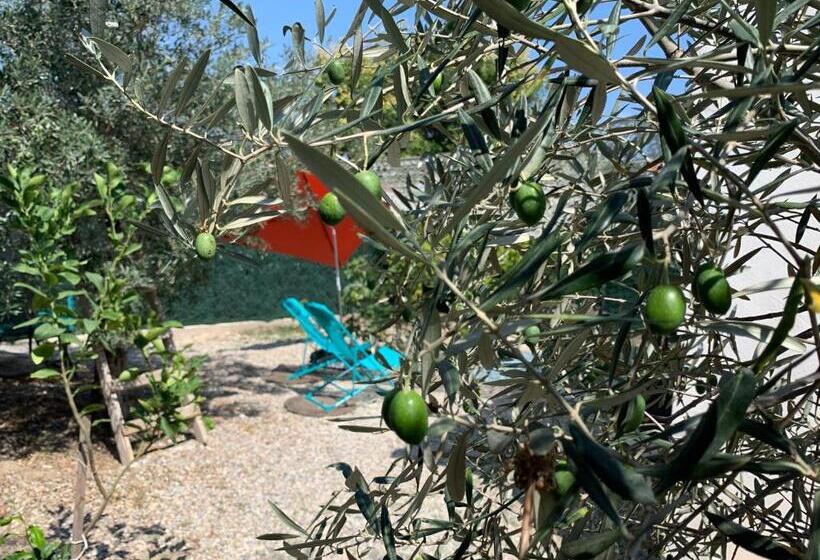 Bed and Breakfast L’olivier De Manel