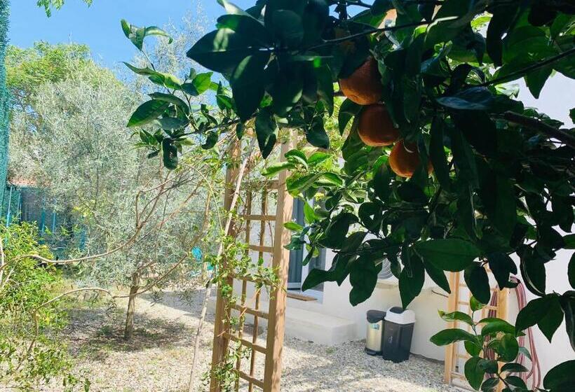 Bed and Breakfast L’olivier De Manel