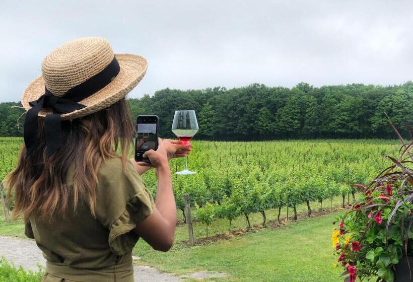 펜션 Doucet Guesthouse