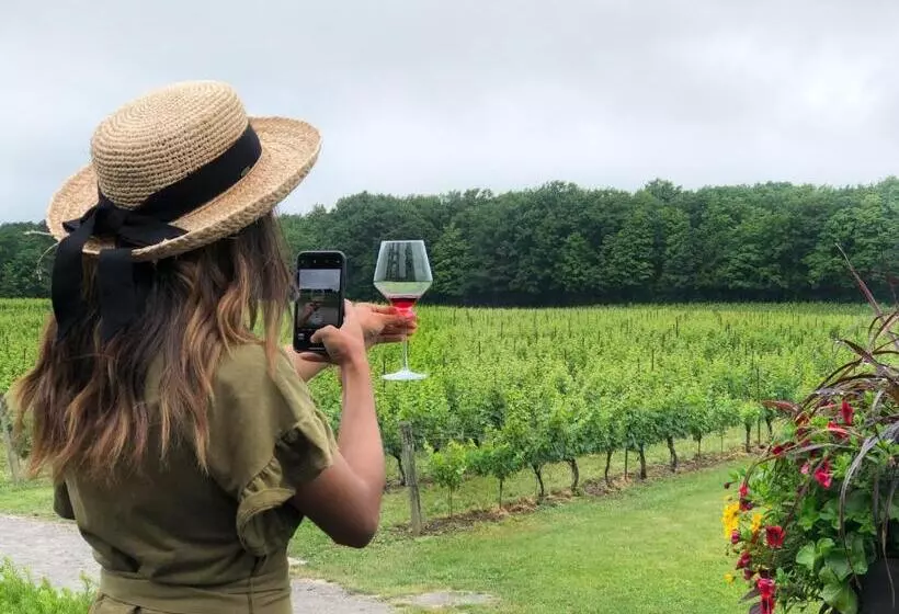 Majatalo Doucet Guesthouse