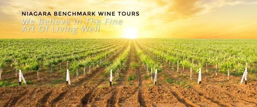 Majatalo Doucet Guesthouse