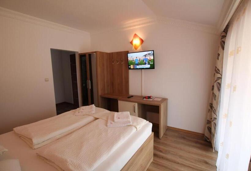 پانسیون Vila Maria Băile Felix