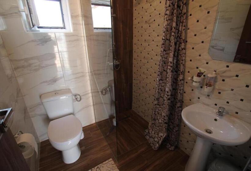 پانسیون Vila Maria Băile Felix