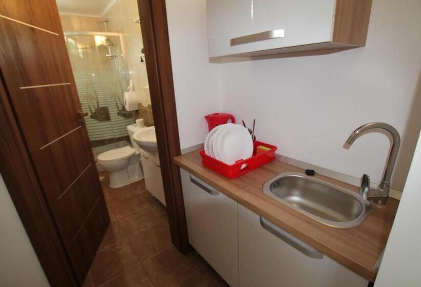 پانسیون Vila Maria Băile Felix