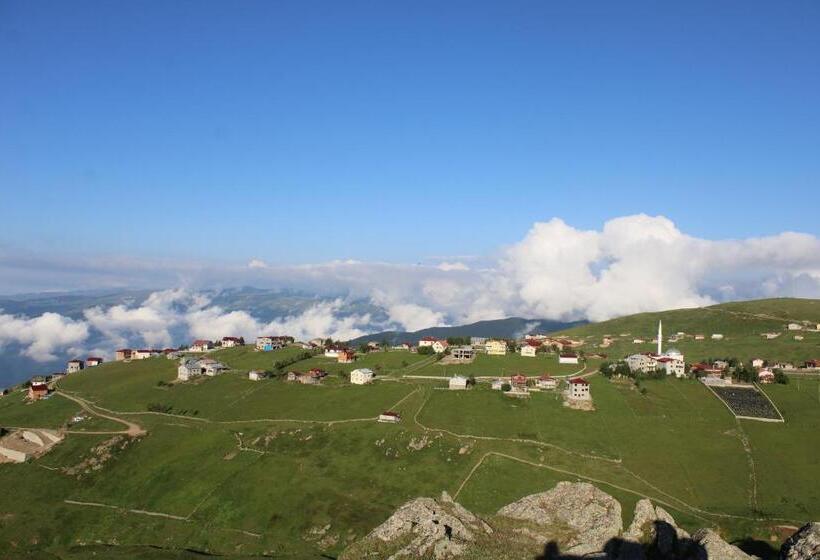 تختخواب و صبحانه Sultanmurat Bungalow