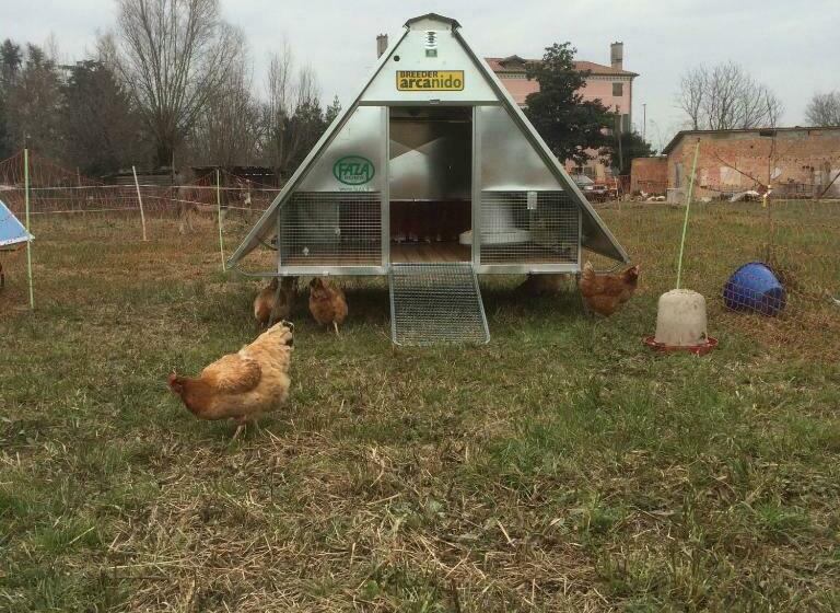 Hotel Pecore Ribelli