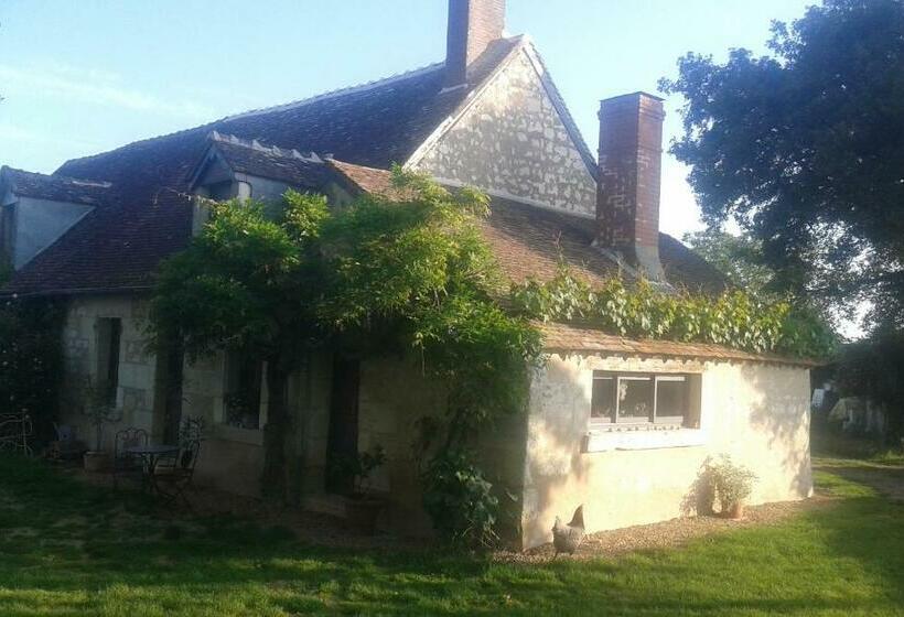 Pension La Vigneraie