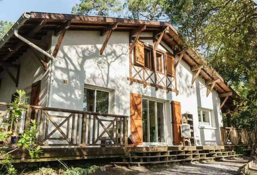 پانسیون Roofless Surf Lodge