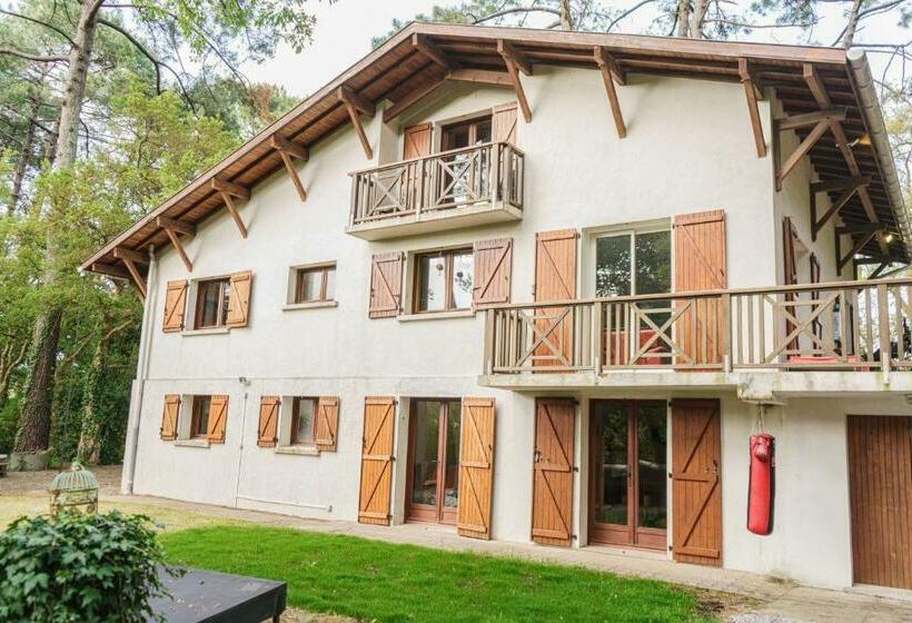 פנסיון Roofless Surf Lodge