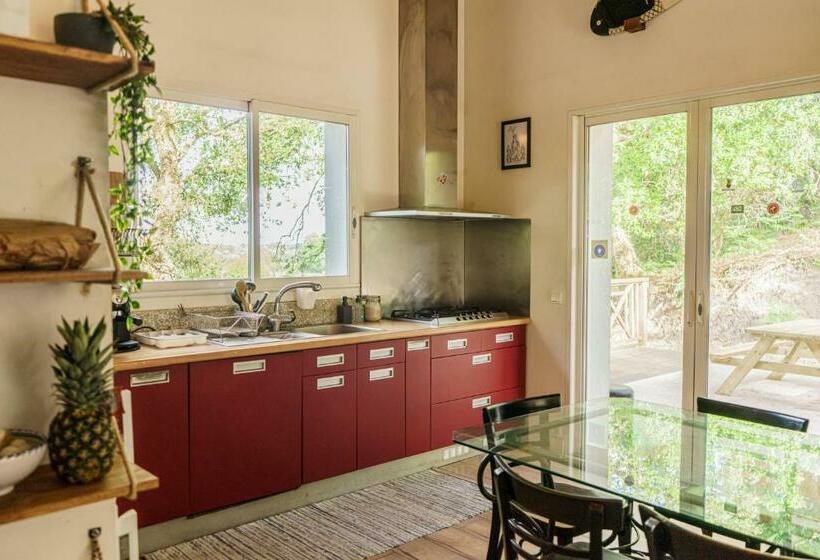 פנסיון Roofless Surf Lodge