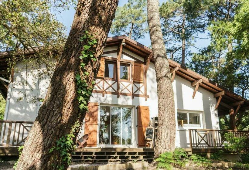 פנסיון Roofless Surf Lodge