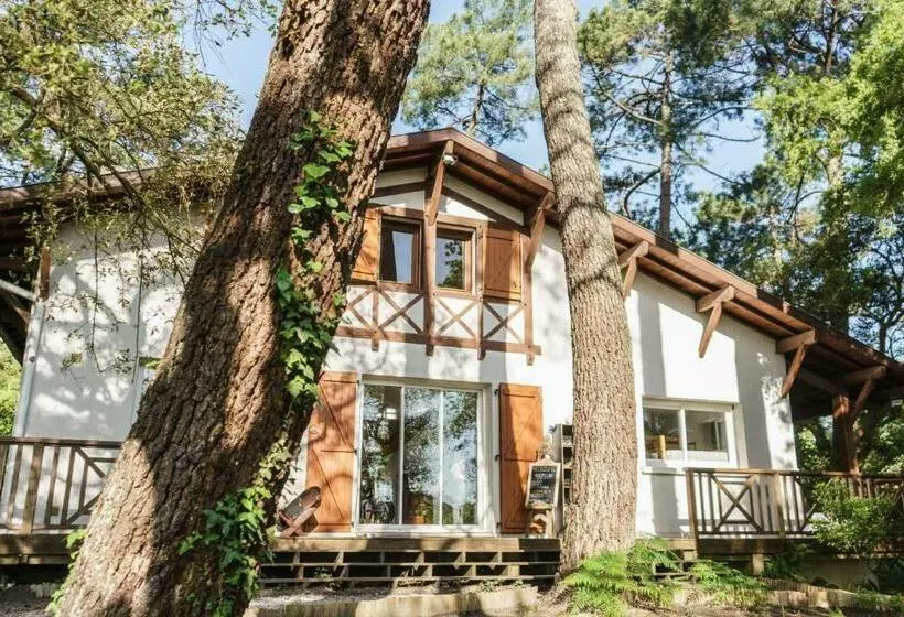 پانسیون Roofless Surf Lodge