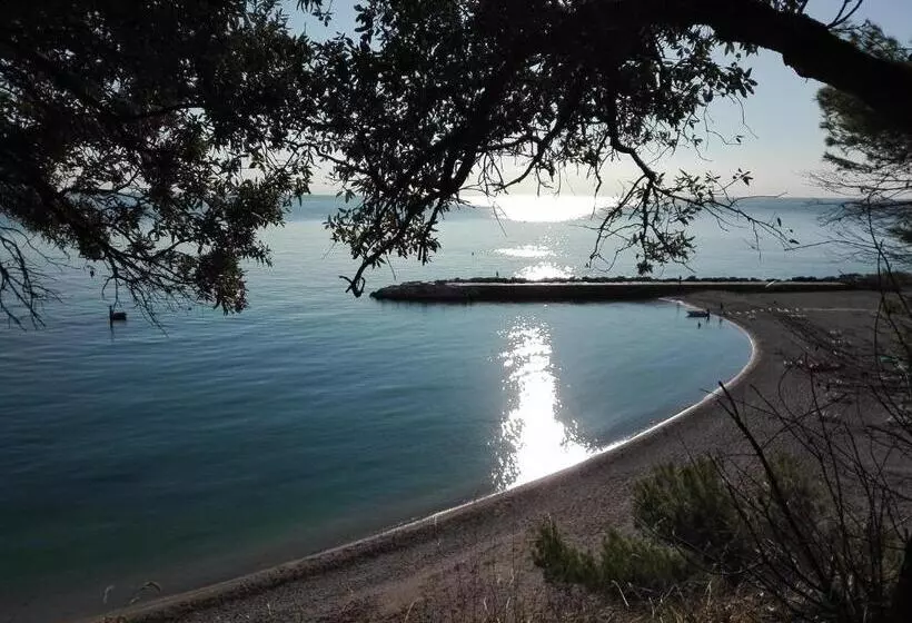 ベッドアンドブレックファースト Affittacamere Villa Zelinda