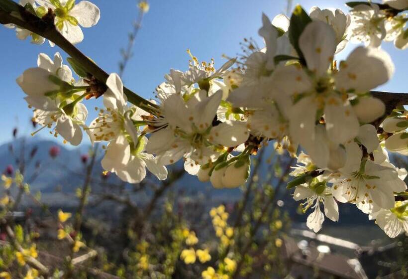 בית מלון כפרי Garni Nunnemairhof