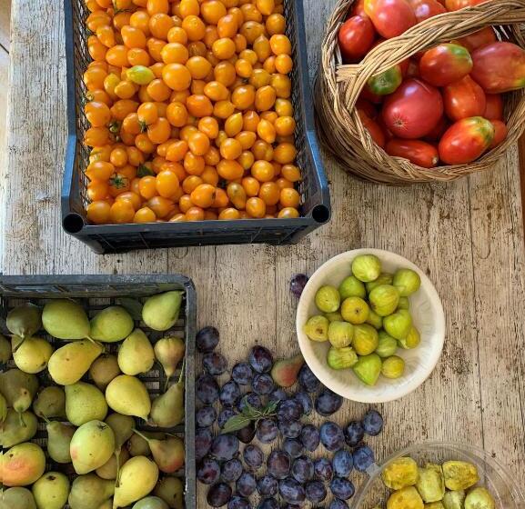 B&b Caput Mundi Calabria