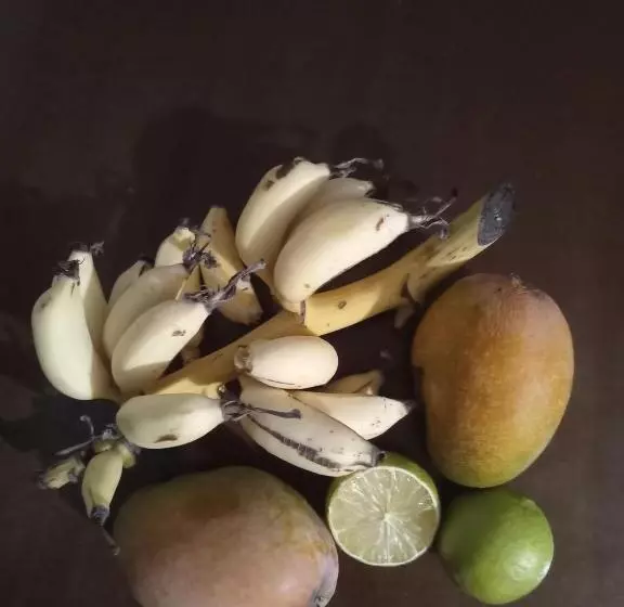 تختخواب و صبحانه Da Stefano