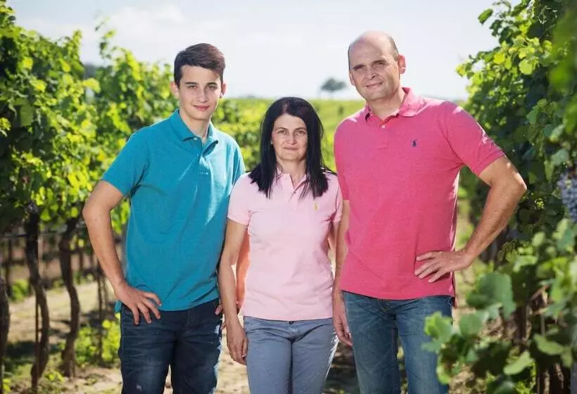 ベッドアンドブレックファースト Weingut Und Gästehaus Salzl