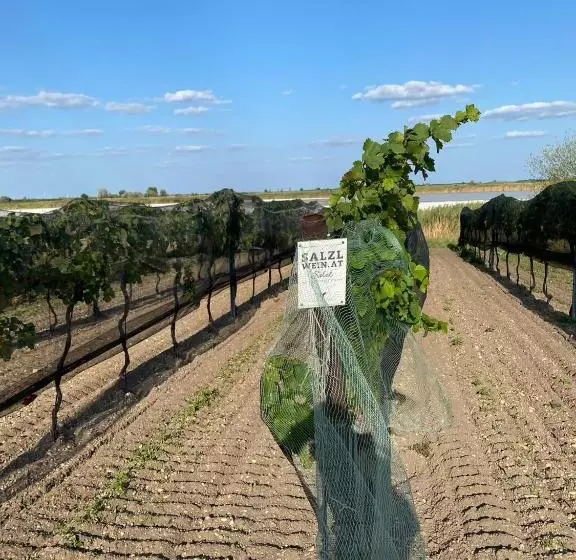 ベッドアンドブレックファースト Weingut Und Gästehaus Salzl