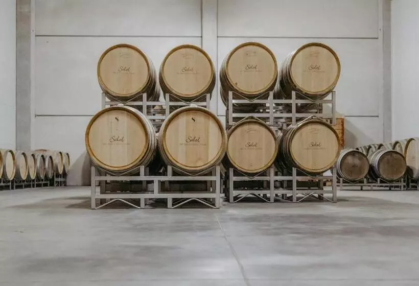 ベッドアンドブレックファースト Weingut Und Gästehaus Salzl