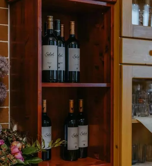 ベッドアンドブレックファースト Weingut Und Gästehaus Salzl