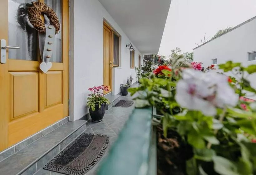 ベッドアンドブレックファースト Weingut Und Gästehaus Salzl