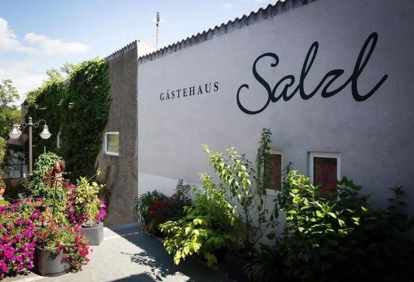 ベッドアンドブレックファースト Weingut Und Gästehaus Salzl