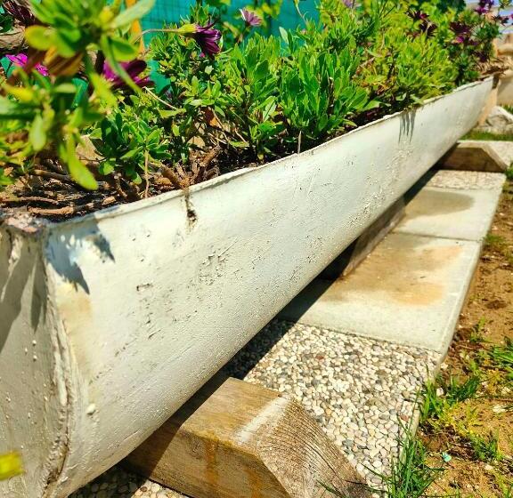 פנסיון Blue Room