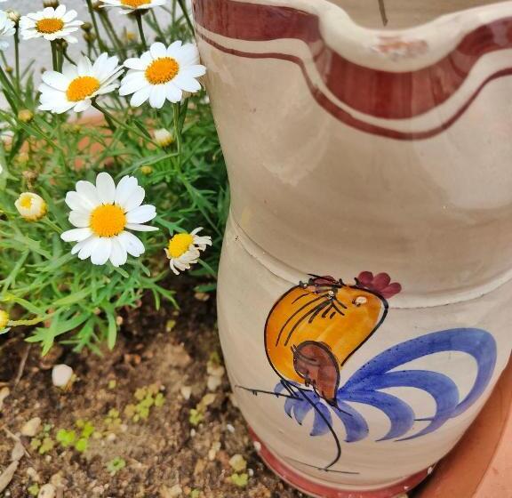 פנסיון Blue Room