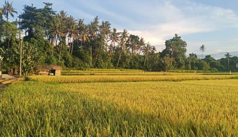 膳宿费 Fishmini Room & Breakfast