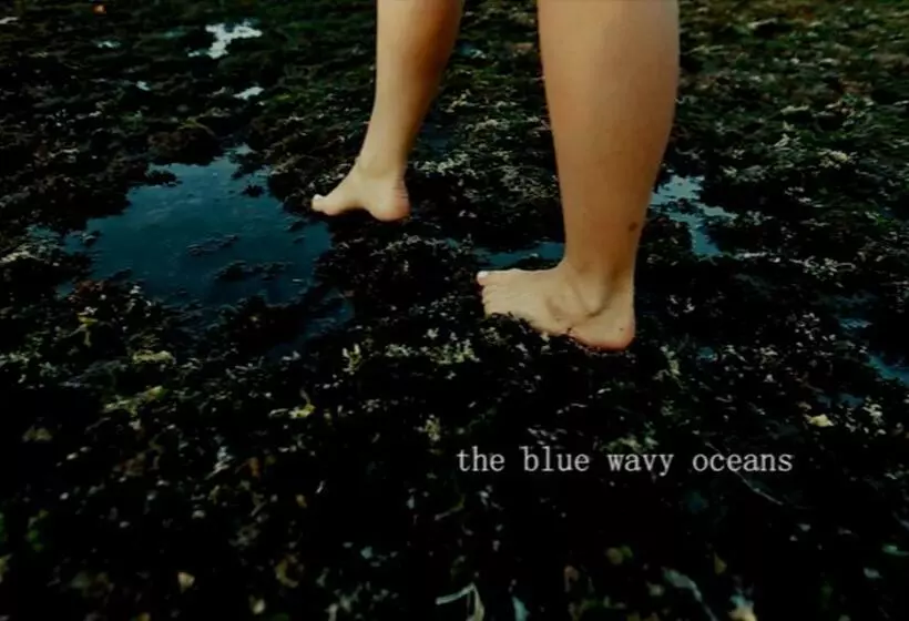 Majatalo Fishmini Room & Breakfast