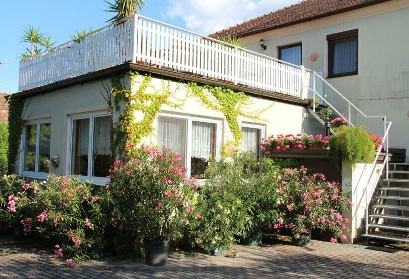 Weingut Pension Sommerhof