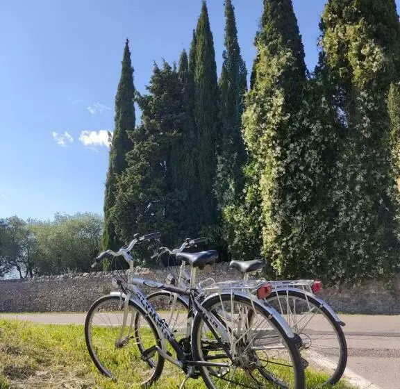 Aamiaismajoitus (B&B) Casa Pepe