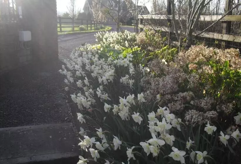 Devenish Lodge B&b