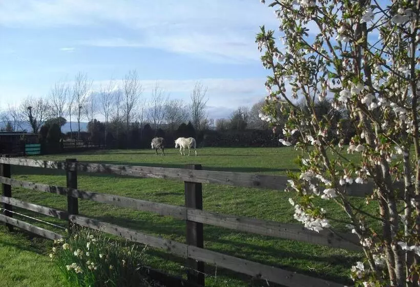 Devenish Lodge B&b