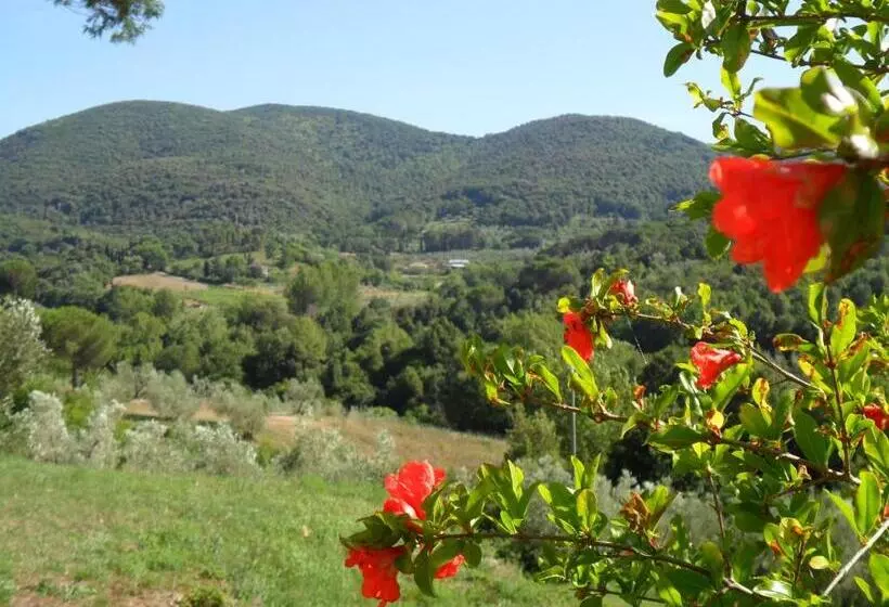 ホテル Agriturismo Le Catre