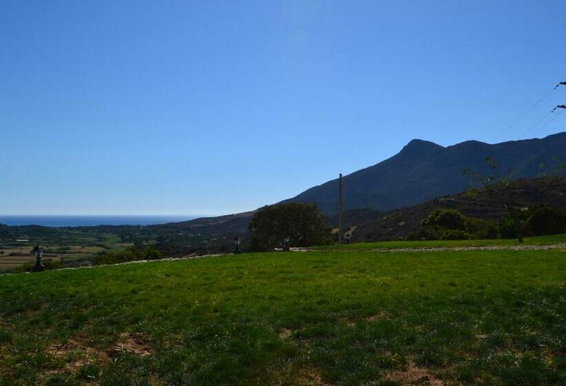 בית מלון כפרי Majori