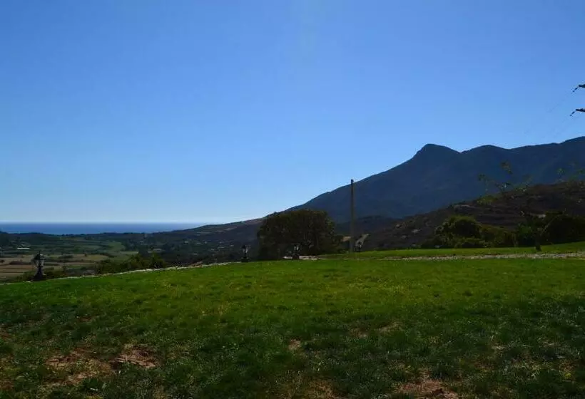 Hotelli Majori
