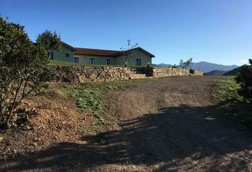 Hotelli Majori