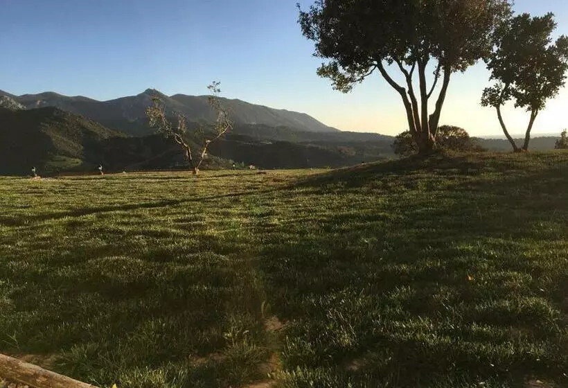 Hotelli Majori